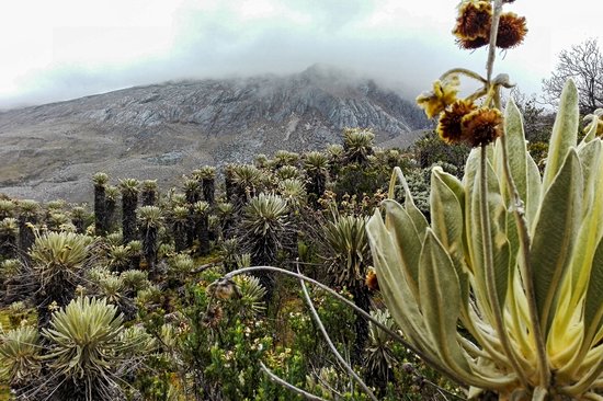 Parc national de la Sierra Nevada del Cocuy