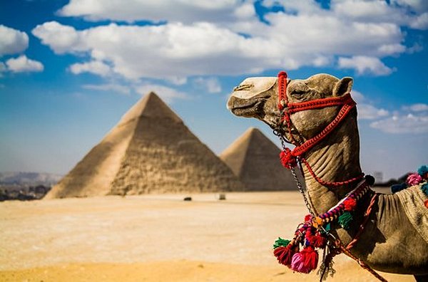 Se balader à dos de chameau dans les temples
