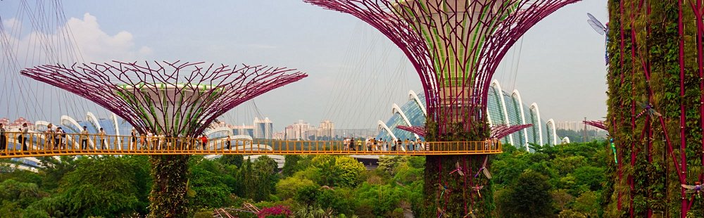 Gardens by the Bay