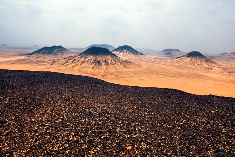 La région du désert occidental et des oasis 4