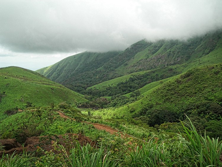 La réserve naturelle du mont Nimba 2