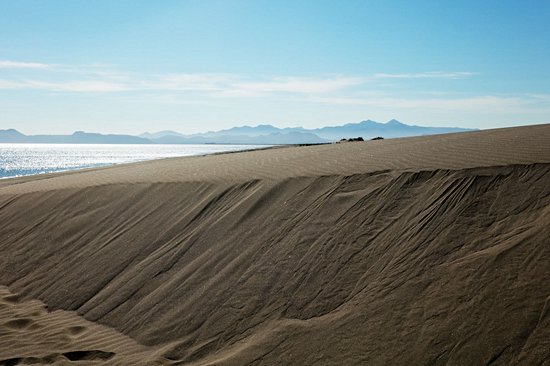 Surfer sur les dunes d'El Mogote
