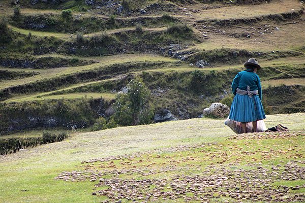 Machu Picchu et Vallée sacrée chez l'habitant
