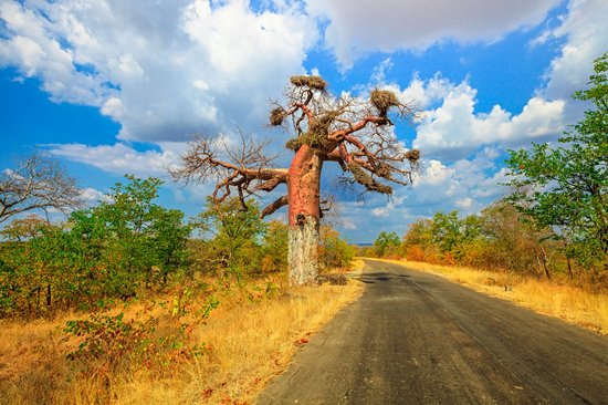 Réserve naturelle de Musina