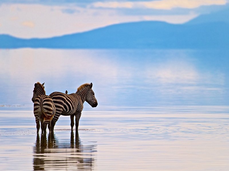 Lac Manyara