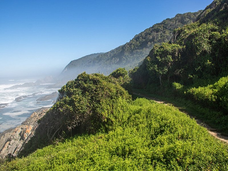 Tsitsikamma National Park