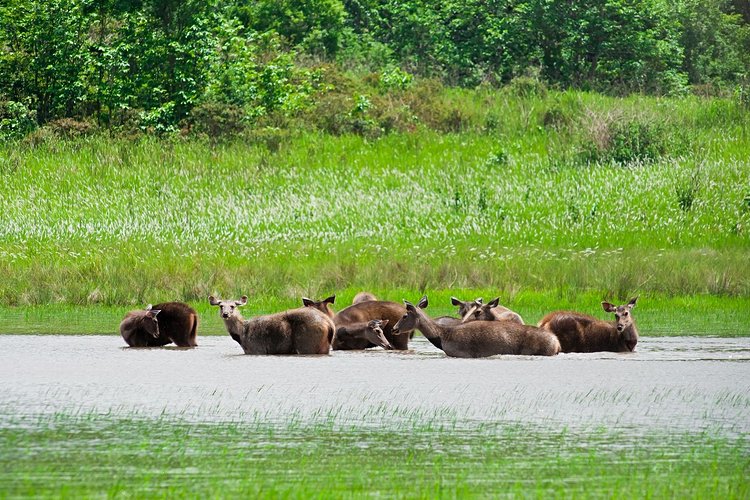 Traversée de Haew Suwat jusqu'au Visitor center 3