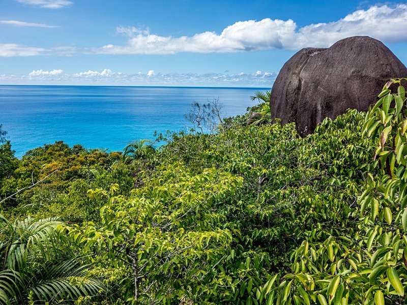 Morne Seychellois