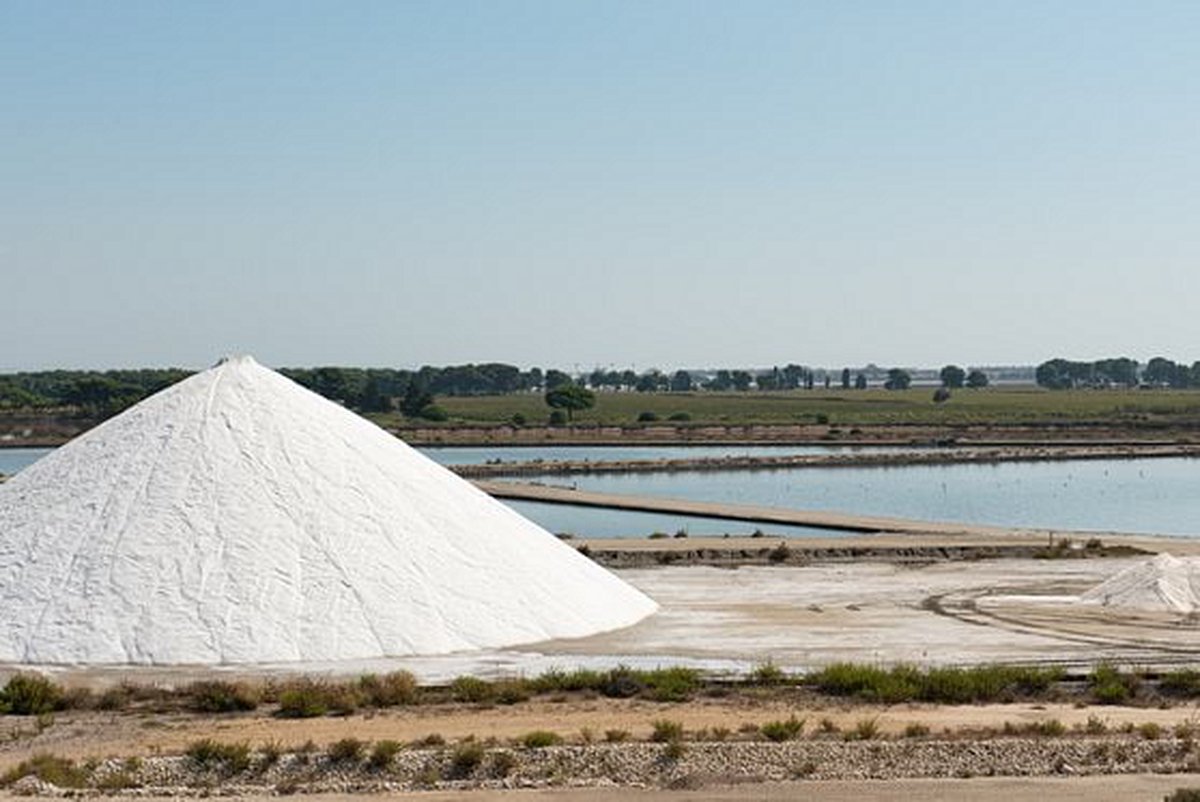 Explorer les marais salants