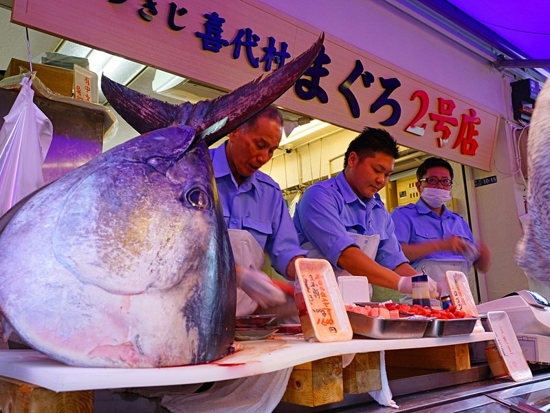 Le marché aux poissons de Toyosu