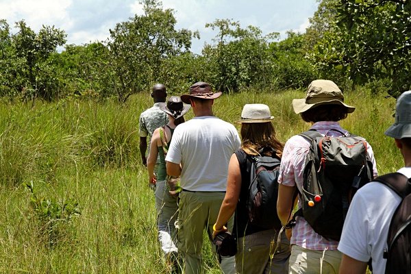 safari Ouganda