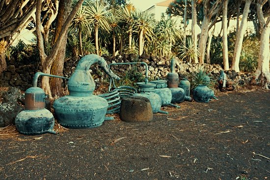 Museu do Vinho