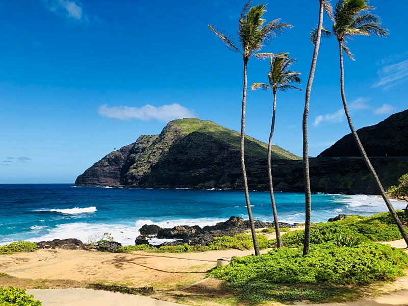 plage Makapuu Beach - Oahu