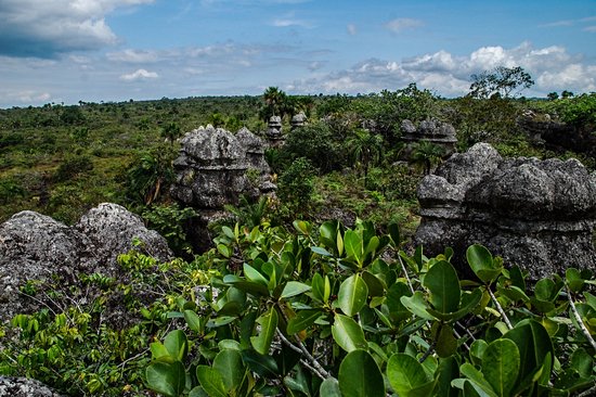 Parc naturel Sierra de la Macarena