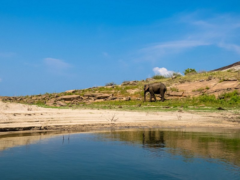 Parc national de Gal Oya