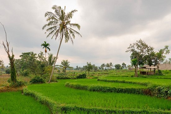 Tetebatu (Lombok)