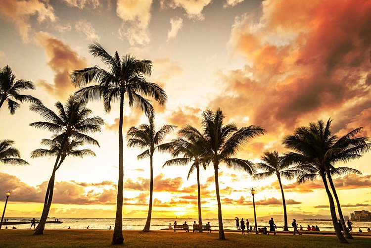 Le quartier de Waikiki 3