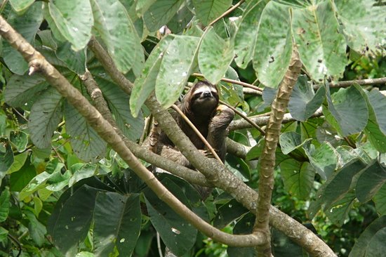 Parc national Soberania