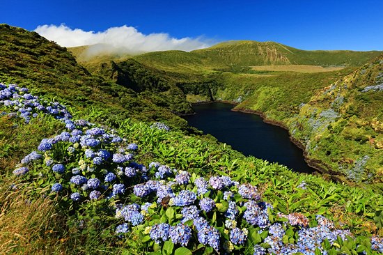 L'île de Flores
