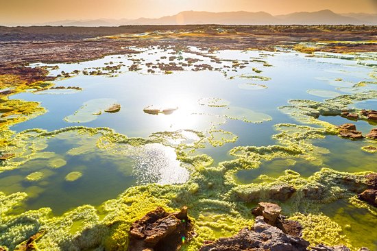 Dépression de Danakil