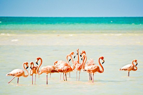 Holbox