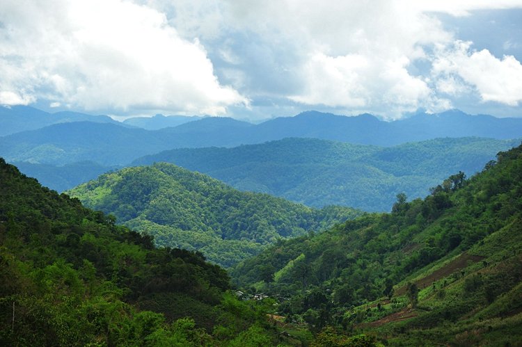 Trek à Chiang Mai : le Huai Pong Trail 2