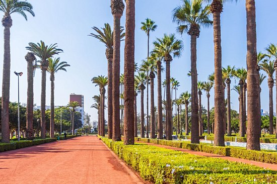 Parc de la Ligue Arabe