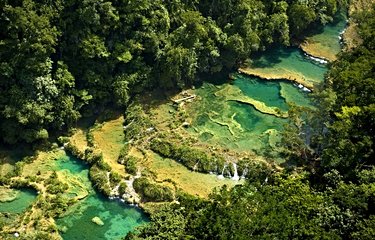 Les piscines naturelles de Semuc Champey aux eaux turquoise, une merveille naturelle pour lézarder et se faire mordiller le bout des orteils par de petits poissons.