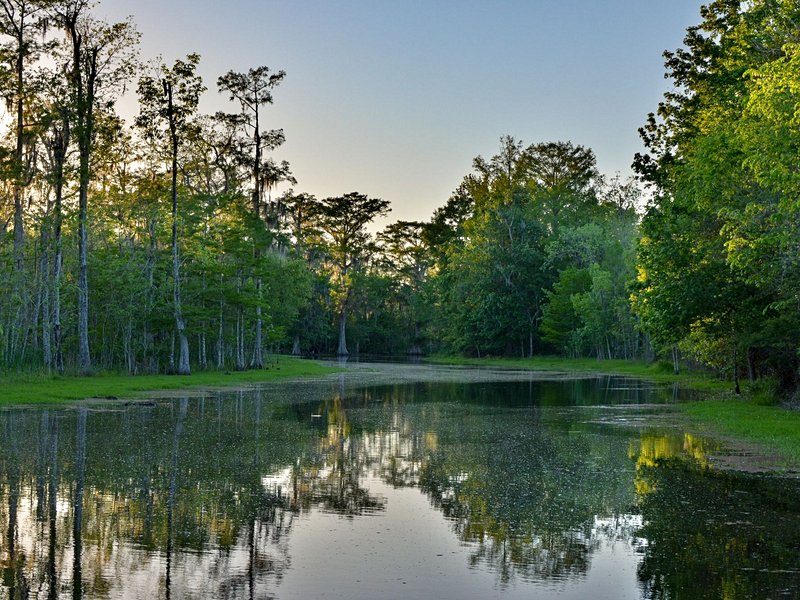 Louisiane