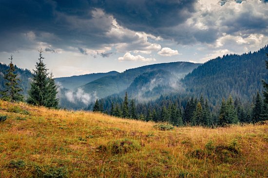 Parc naturel Apuseni