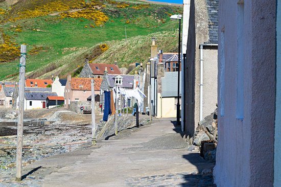 Crovie