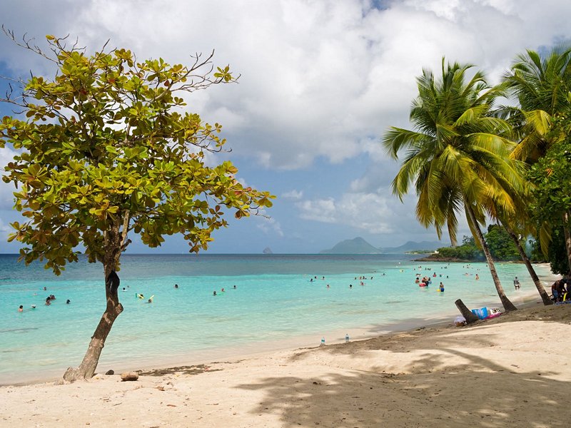 L’Anse Figuier à Rivière-Pilote
