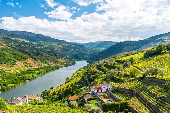 Vallée du Douro