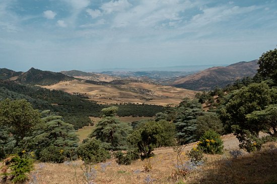Parc national de Theniet El Had