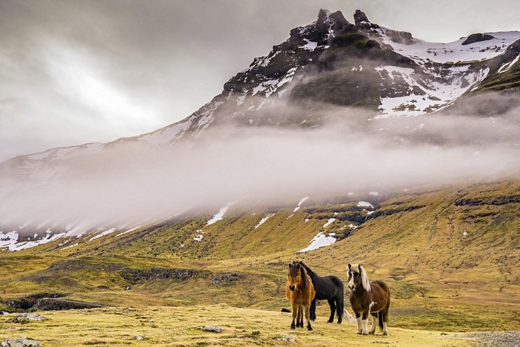 Quand visiter la péninsule de Snaefellsnes ?