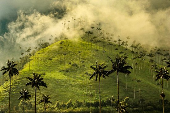 Vallée de la Cocora