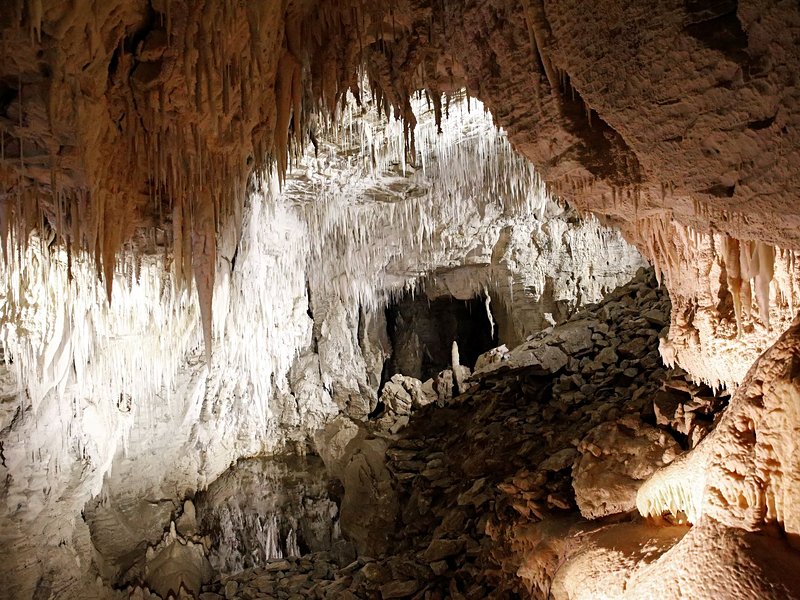 Caves de Waitomo
