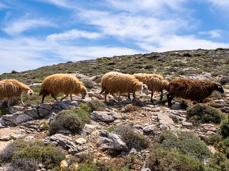 Amorgos