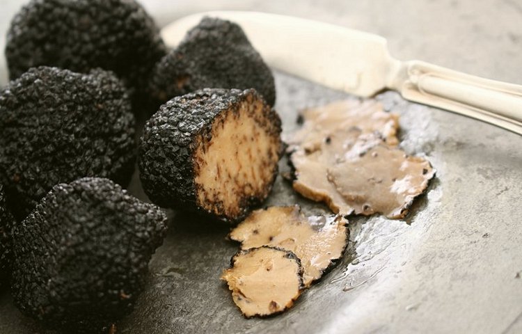 La truffe noire du Périgord