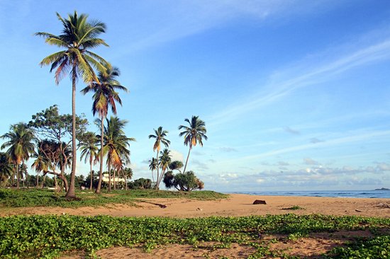 Nilaveli Beach