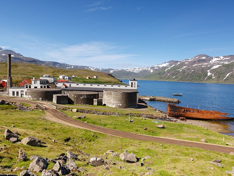 Djupavik
