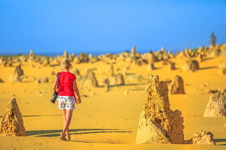 Pinnacles Desert 3