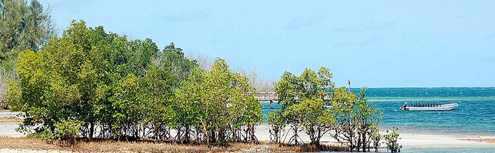 Funzi island