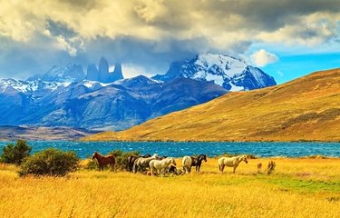 La Patagonie 
