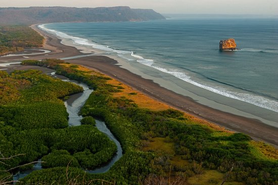 Sauvage et repliée : Playa Naranjo