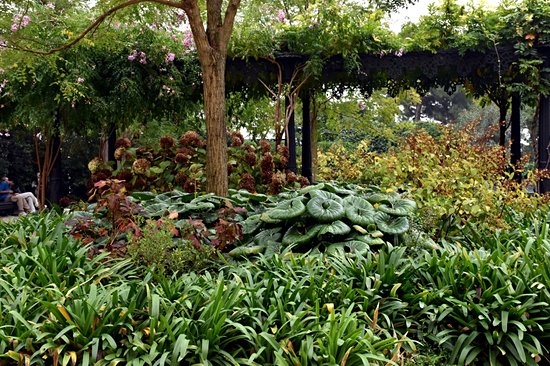 Les Giardini à Venise