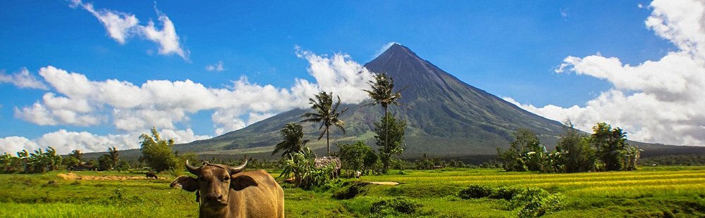Carabao
