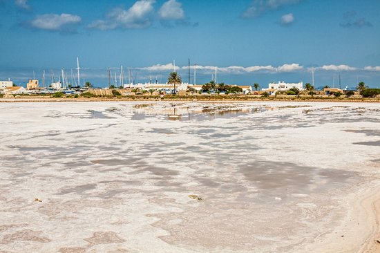 Réserve naturelle de Ses Salines