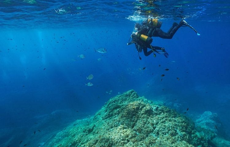 Pour les amateurs de fonds marins, plongée dans la réserve sous-marine de Cerbère-Banyuls, première réserve naturelle marine de France.