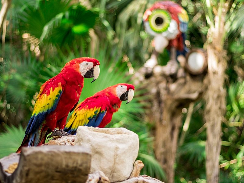 Xcaret